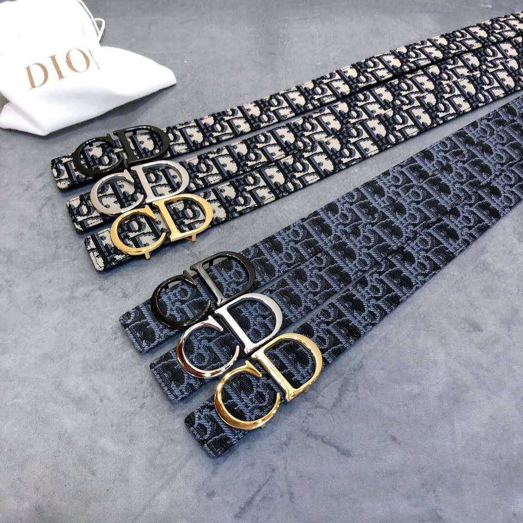 Dior Saddle Dior Oblique Belt - DopestKickz