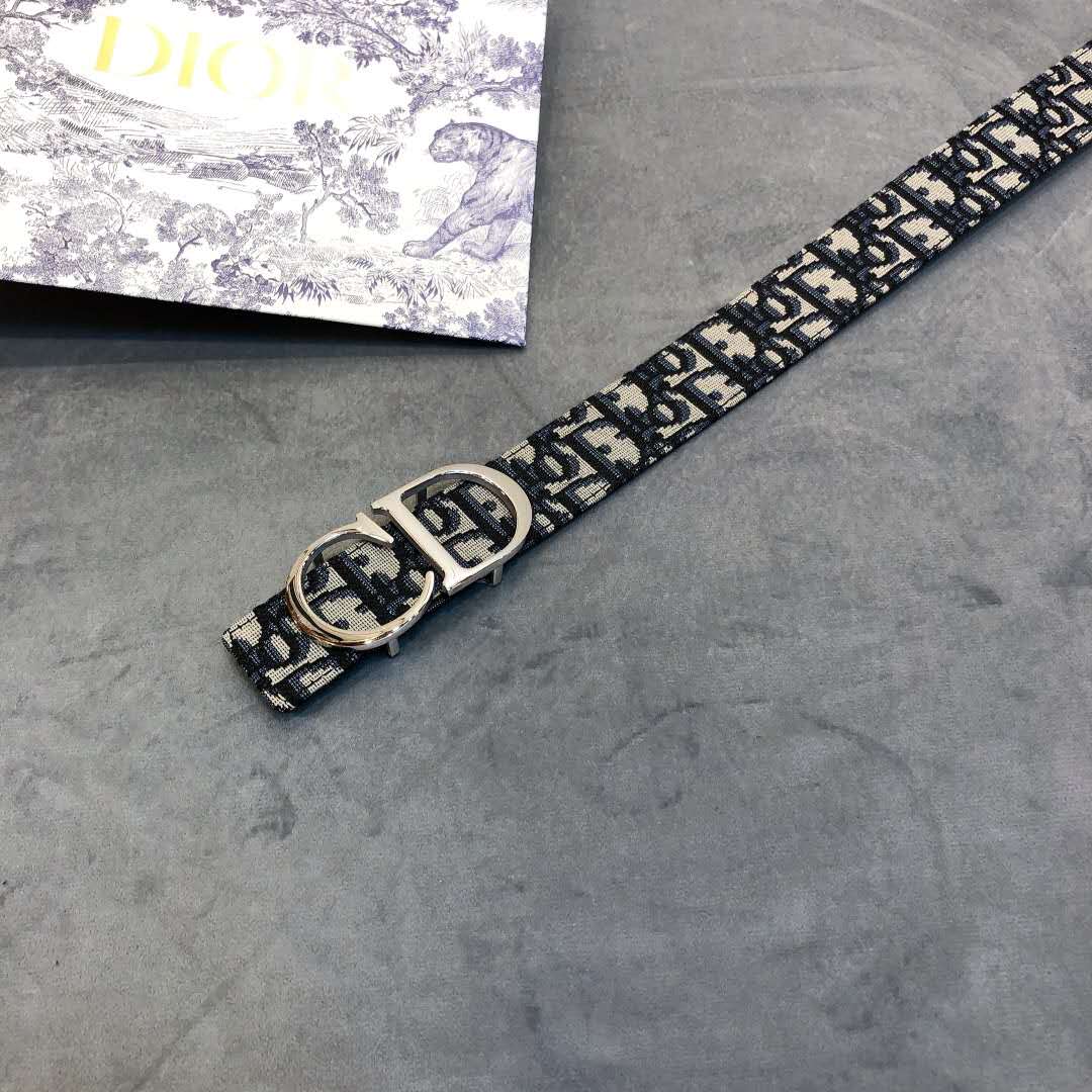 Dior Saddle Dior Oblique Belt - DopestKickz
