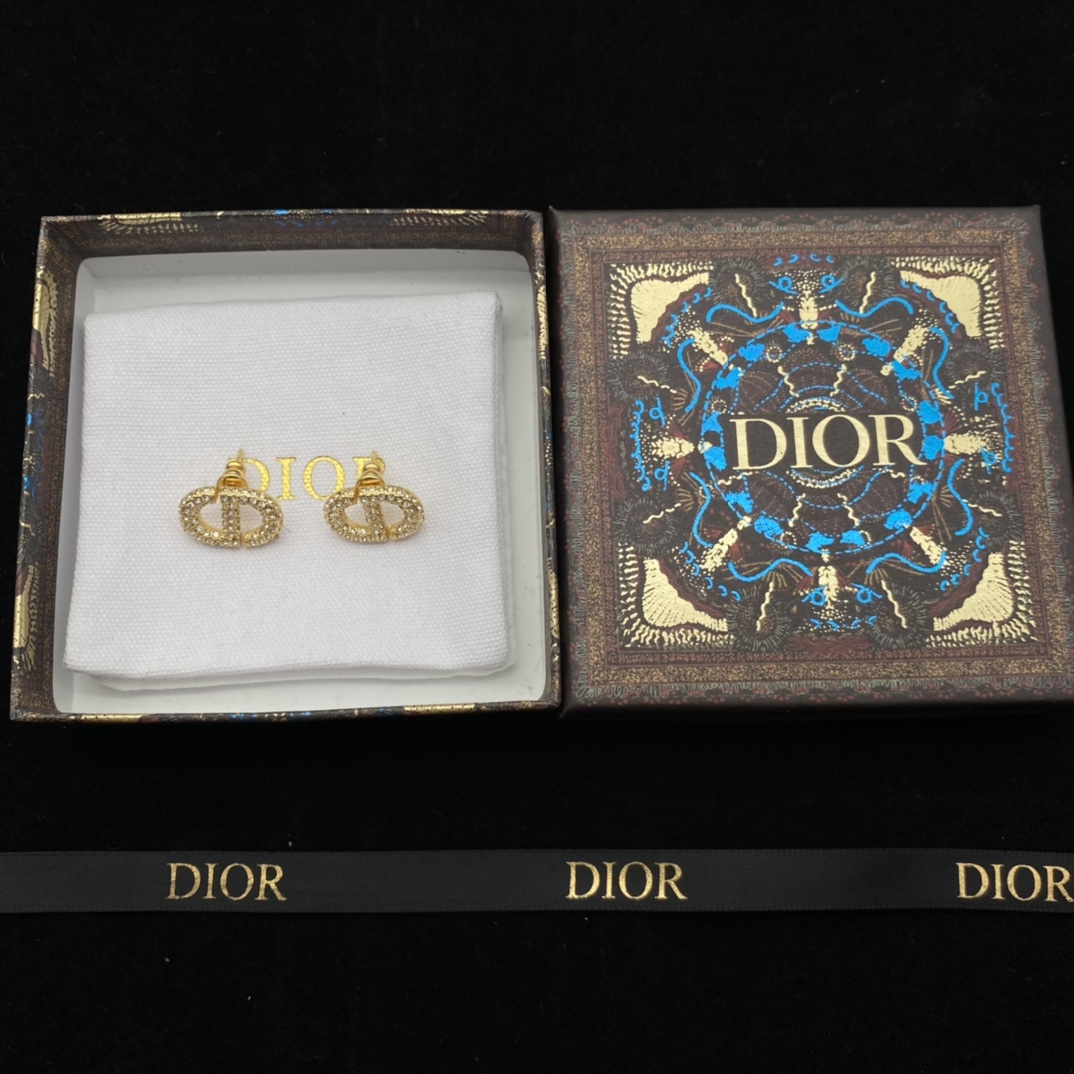 Dior 'CD'  Earrings - DopestKickz