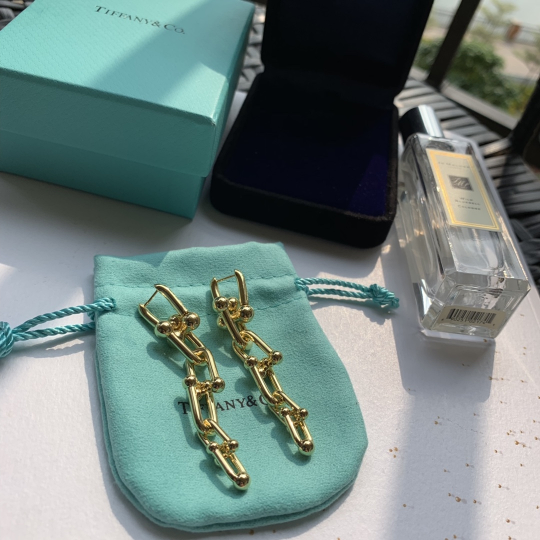 Tiffany&CO Graduated Link Earrings - DopestKickz
