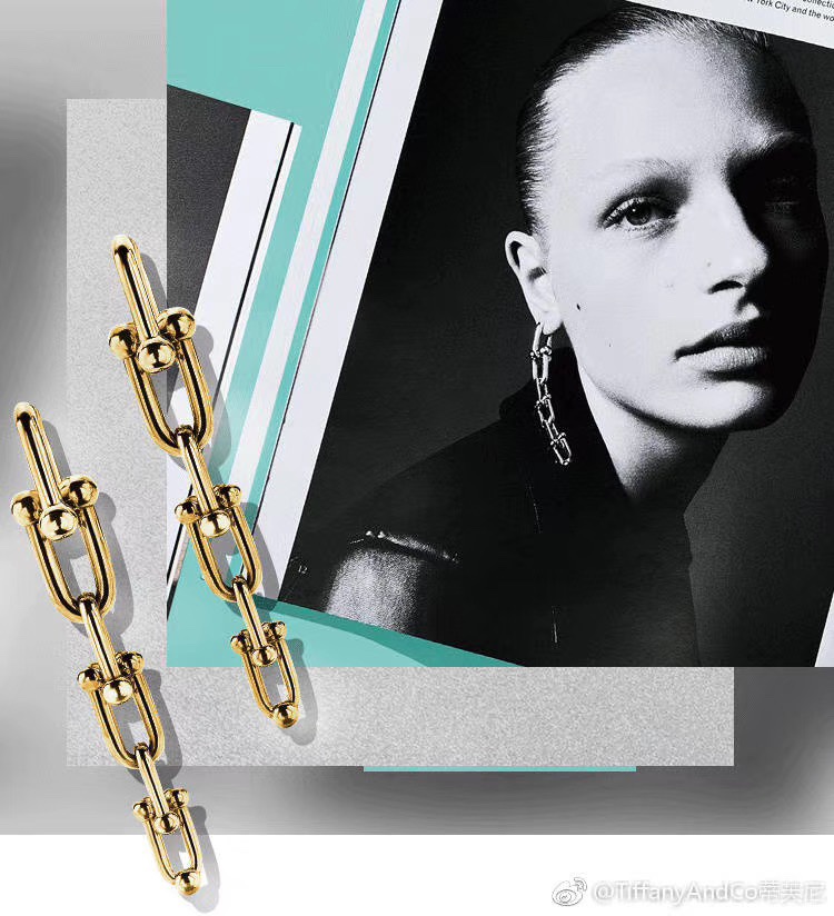 Tiffany&CO Graduated Link Earrings - DopestKickz
