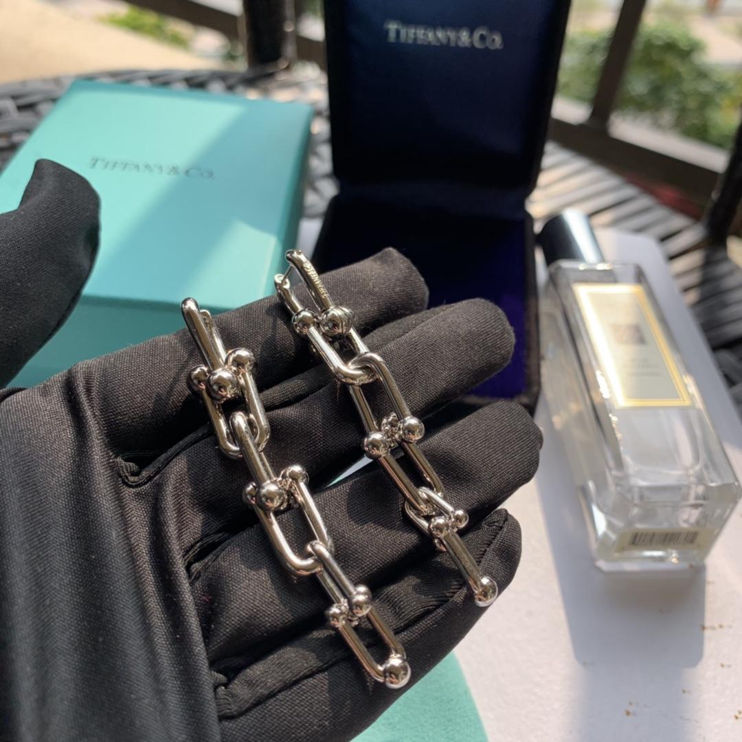Tiffany&CO Graduated Link Earrings - DopestKickz