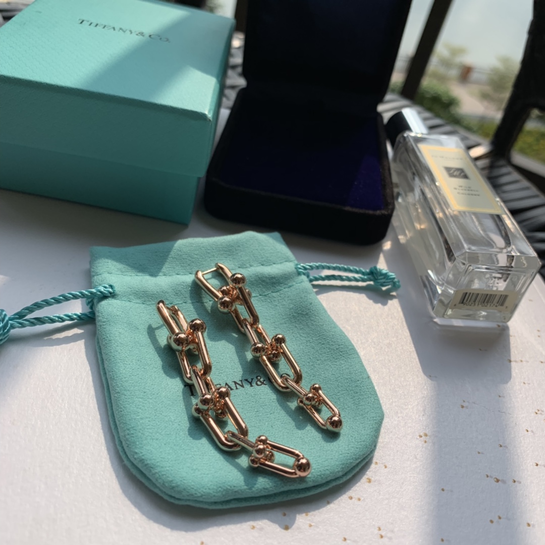 Tiffany&CO Graduated Link Earrings - DopestKickz