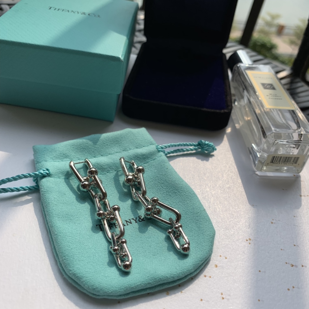 Tiffany&CO Graduated Link Earrings - DopestKickz