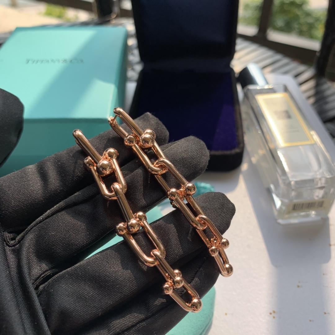 Tiffany&CO Graduated Link Earrings - DopestKickz