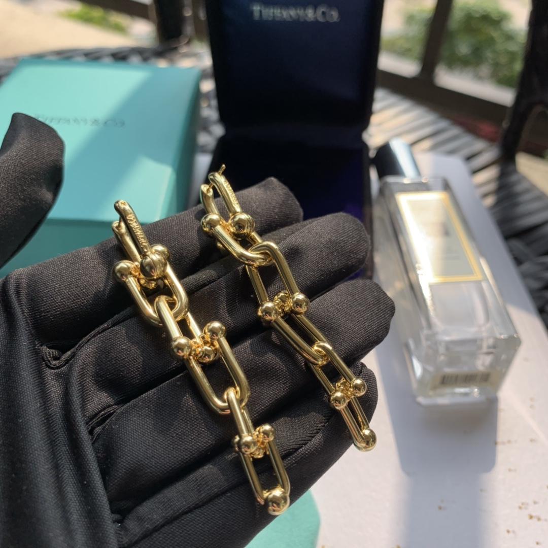 Tiffany&CO Graduated Link Earrings - DopestKickz