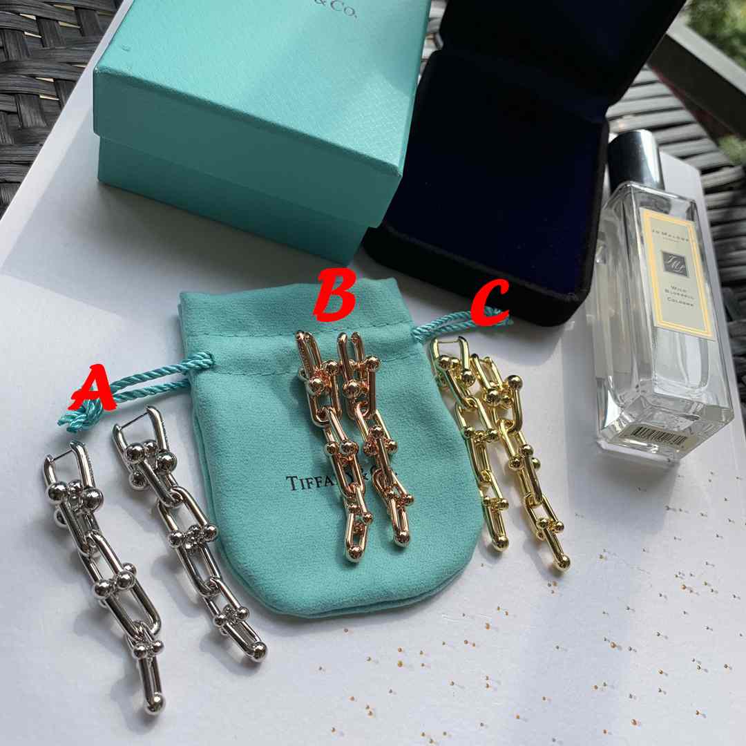 Tiffany&CO Graduated Link Earrings - DopestKickz