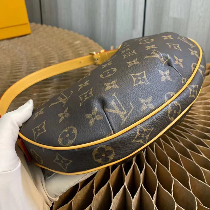 Louis Vuitton Pochette Croissant Handbag(27-13-7cm)     M51510 - DopestKickz