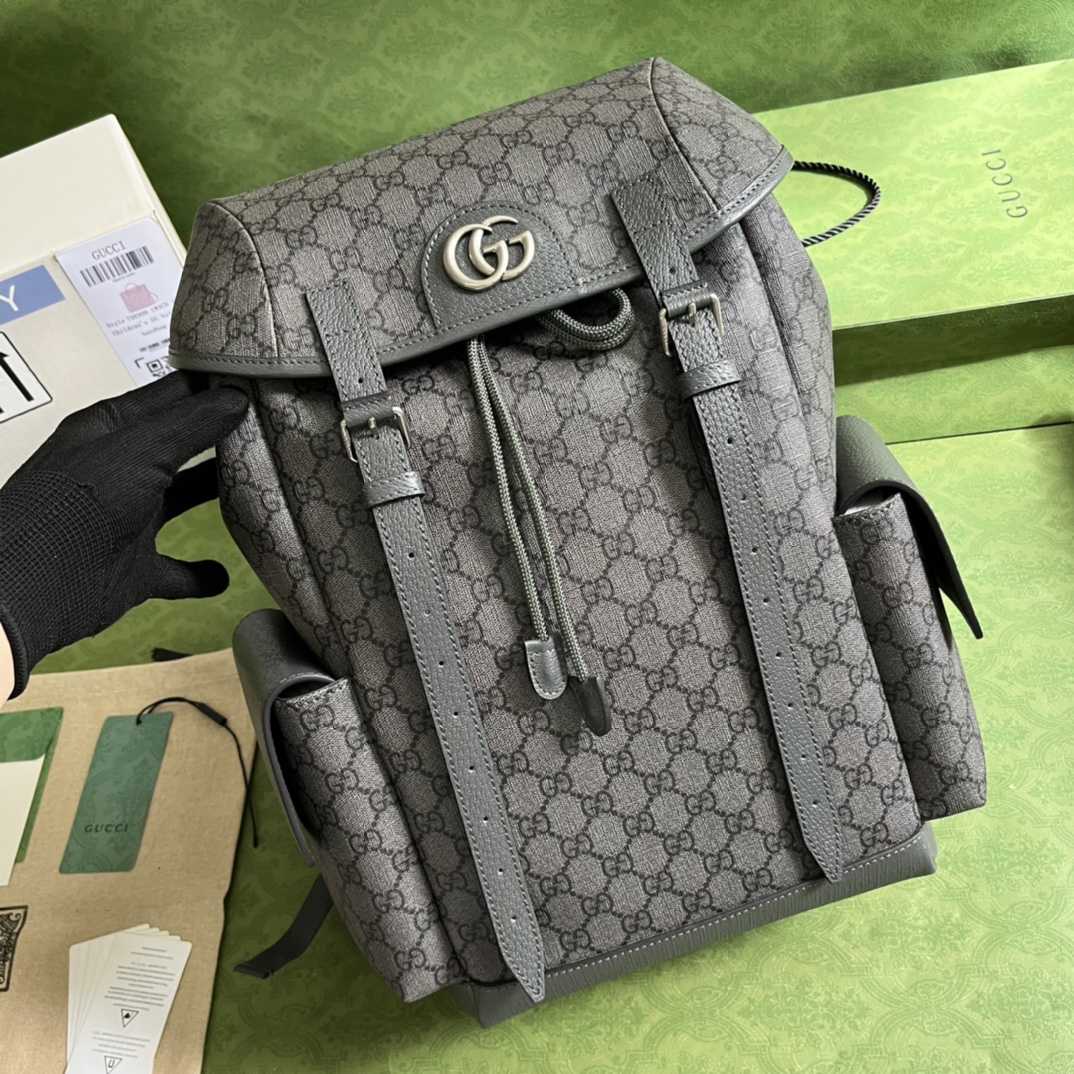 Gucci Ophidia GG Medium Backpack(24-40-16cm) - DopestKickz