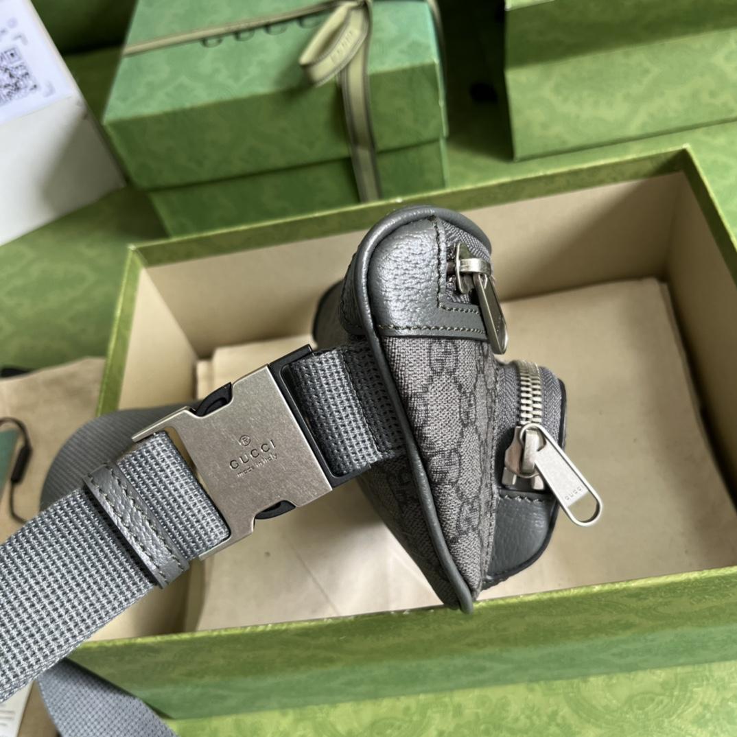 Gucci Ophidia Belt Bag(23-12-2.5cm) - DopestKickz