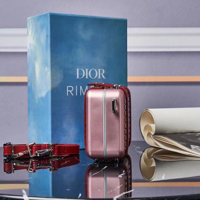 Dior And Rimowa Personal Pouch - DopestKickz