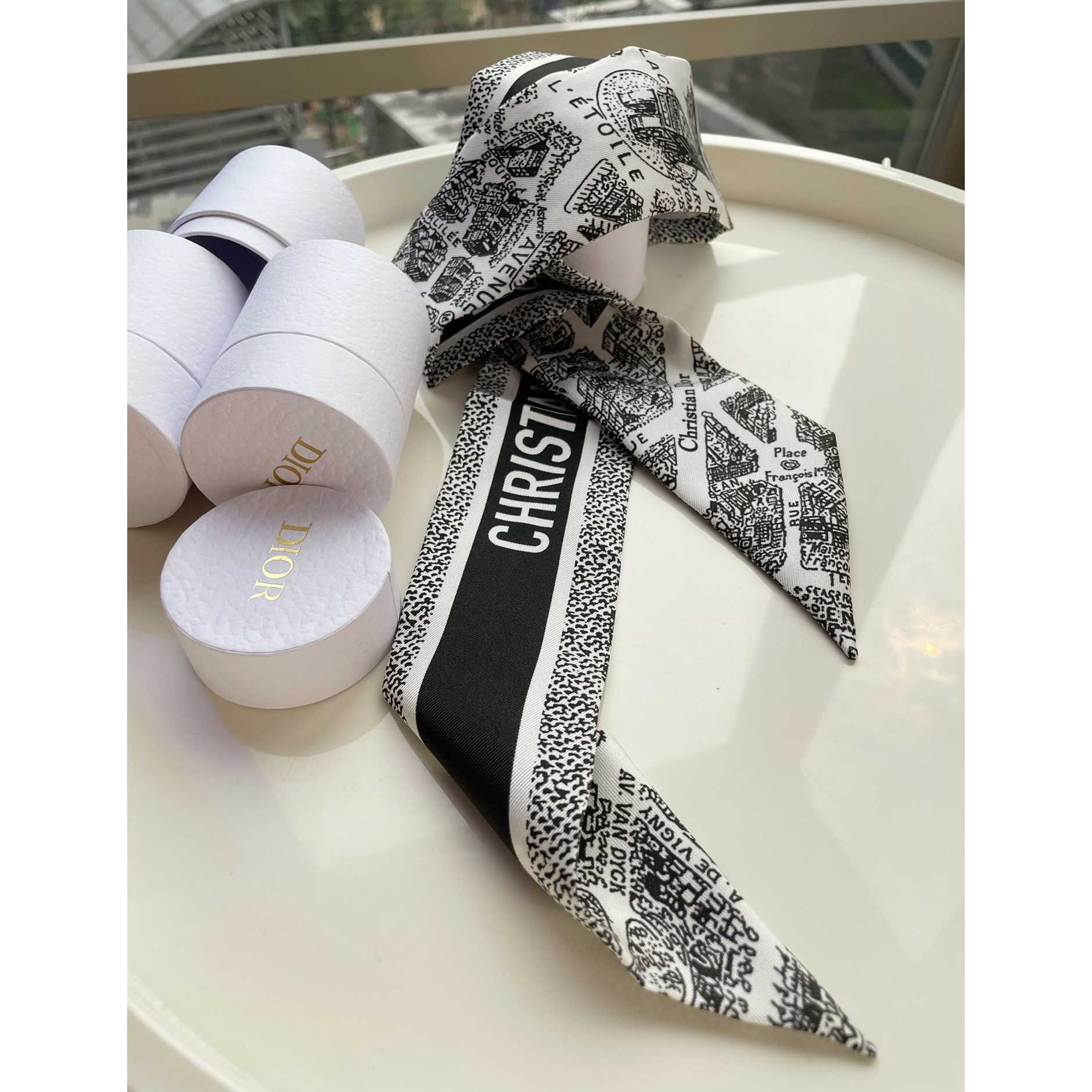 Dior Plan de Paris Mitzah Scarf  - DopestKickz