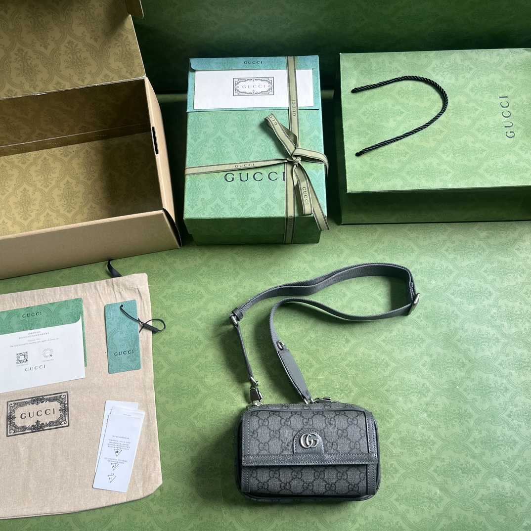 Gucci Ophidia GG Mini Bag(20-12.5-9cm)    - DopestKickz