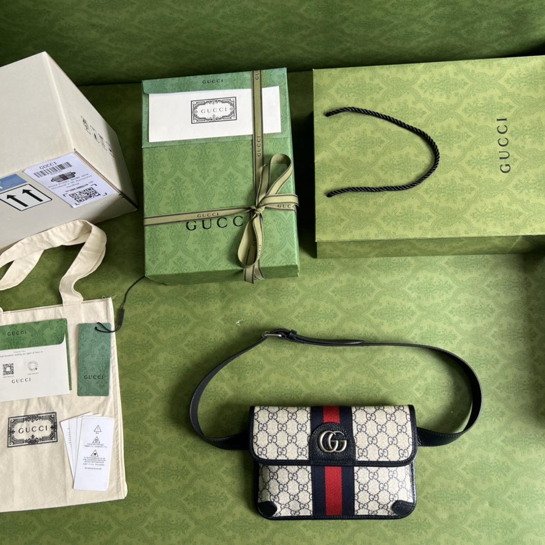 Gucci Ophidia Belt Bag(22*17*3.5cm) - DopestKickz