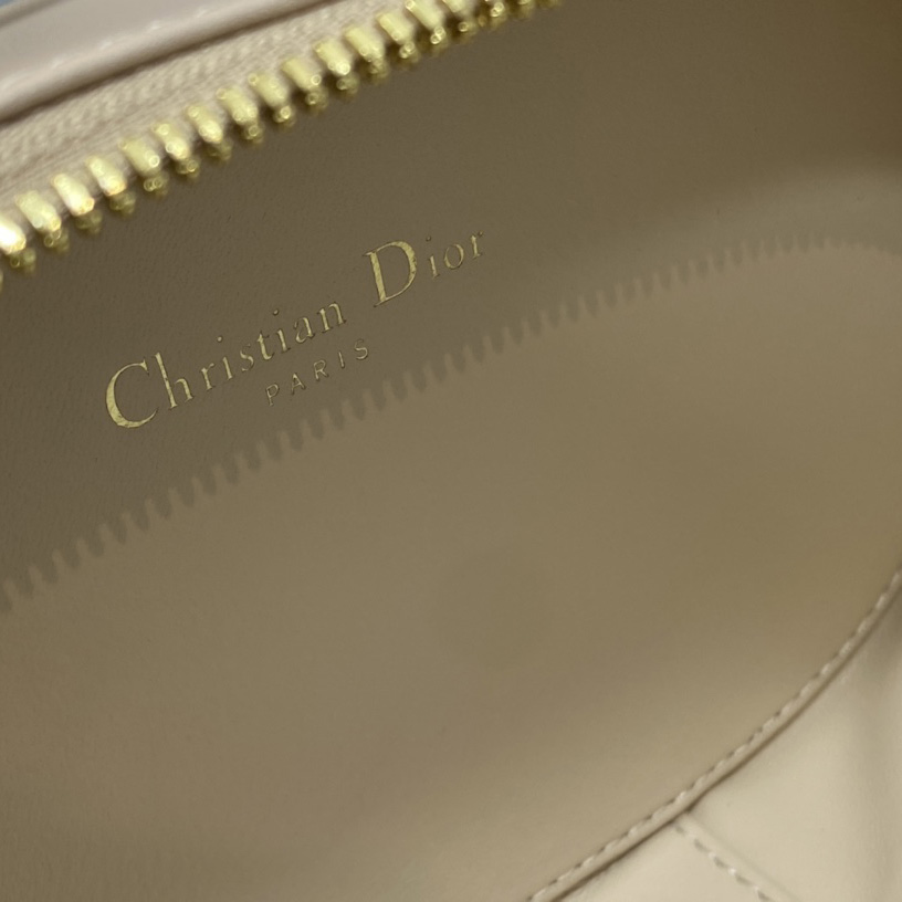Dior CD Signature Oval Camera Bag - DopestKickz