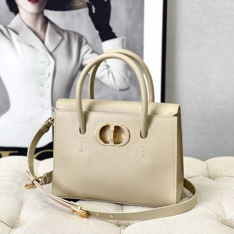 Dior Medium St. Honore Tote (25 -19-12 cm) - DopestKickz