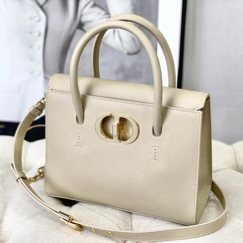 Dior Medium St. Honore Tote (25 -19-12 cm) - DopestKickz