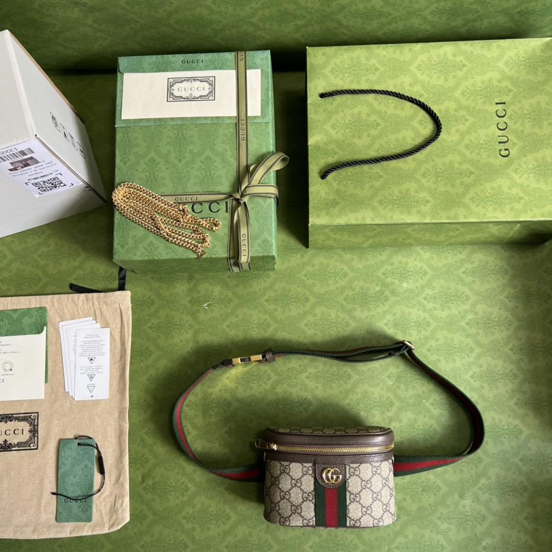 Gucci Ophidia GG Belt Bag (18-12-6cm) - DopestKickz