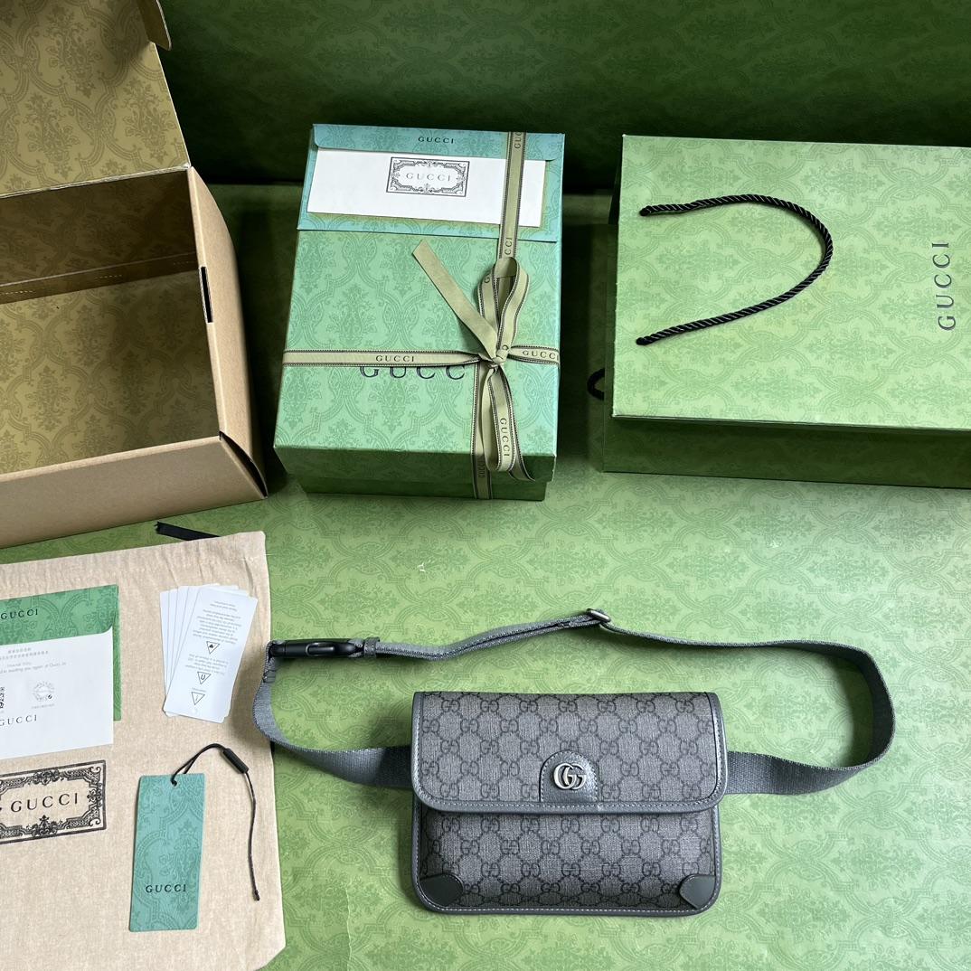 Gucci Ophidia GG Small Belt Bag - DopestKickz
