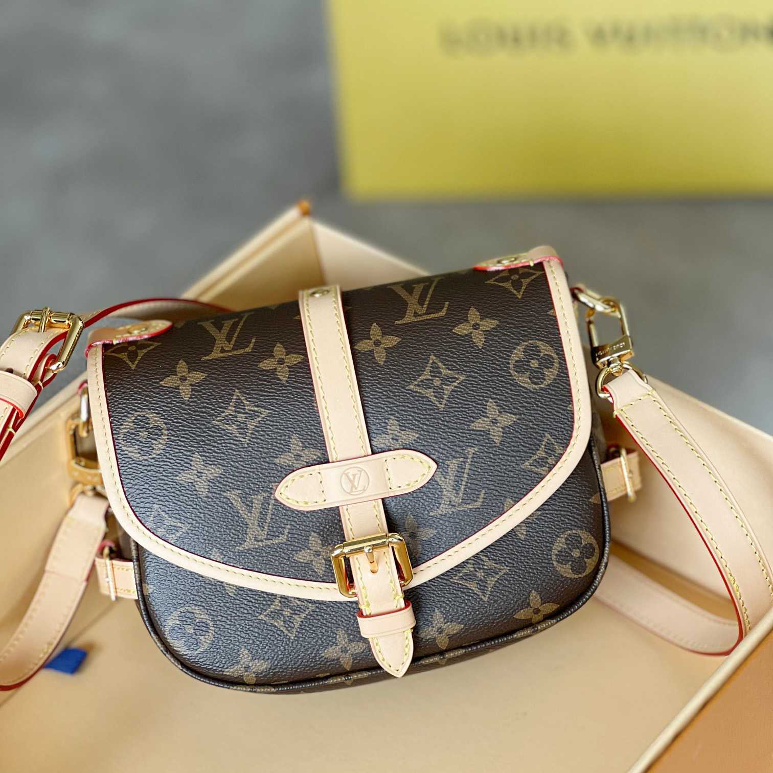 Louis Vuitton Saumur BB (20x15x7.5cm)   M46740 - DopestKickz
