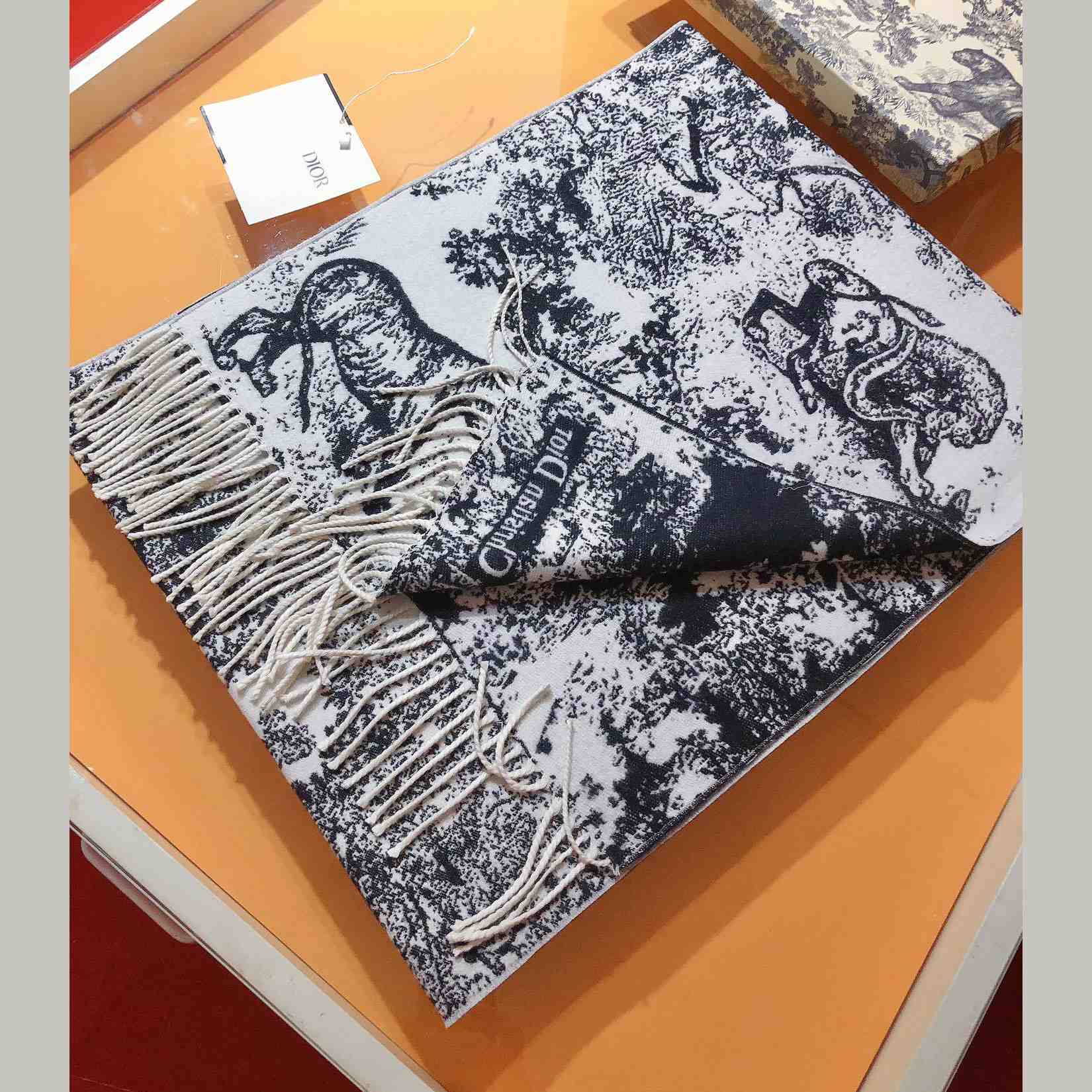 Dior Toile De Jouy Sauvage Scarf  - DopestKickz