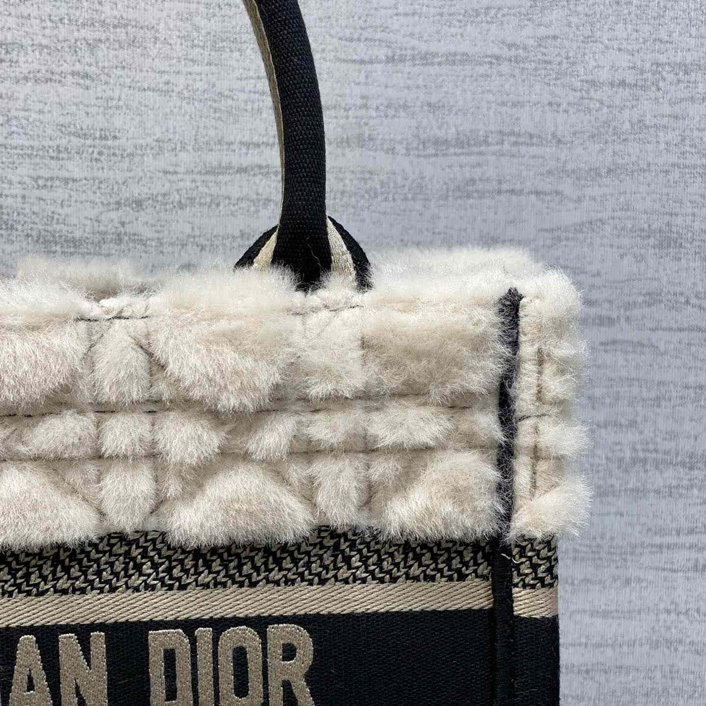 Dior Small Dior Book Tote - DopestKickz