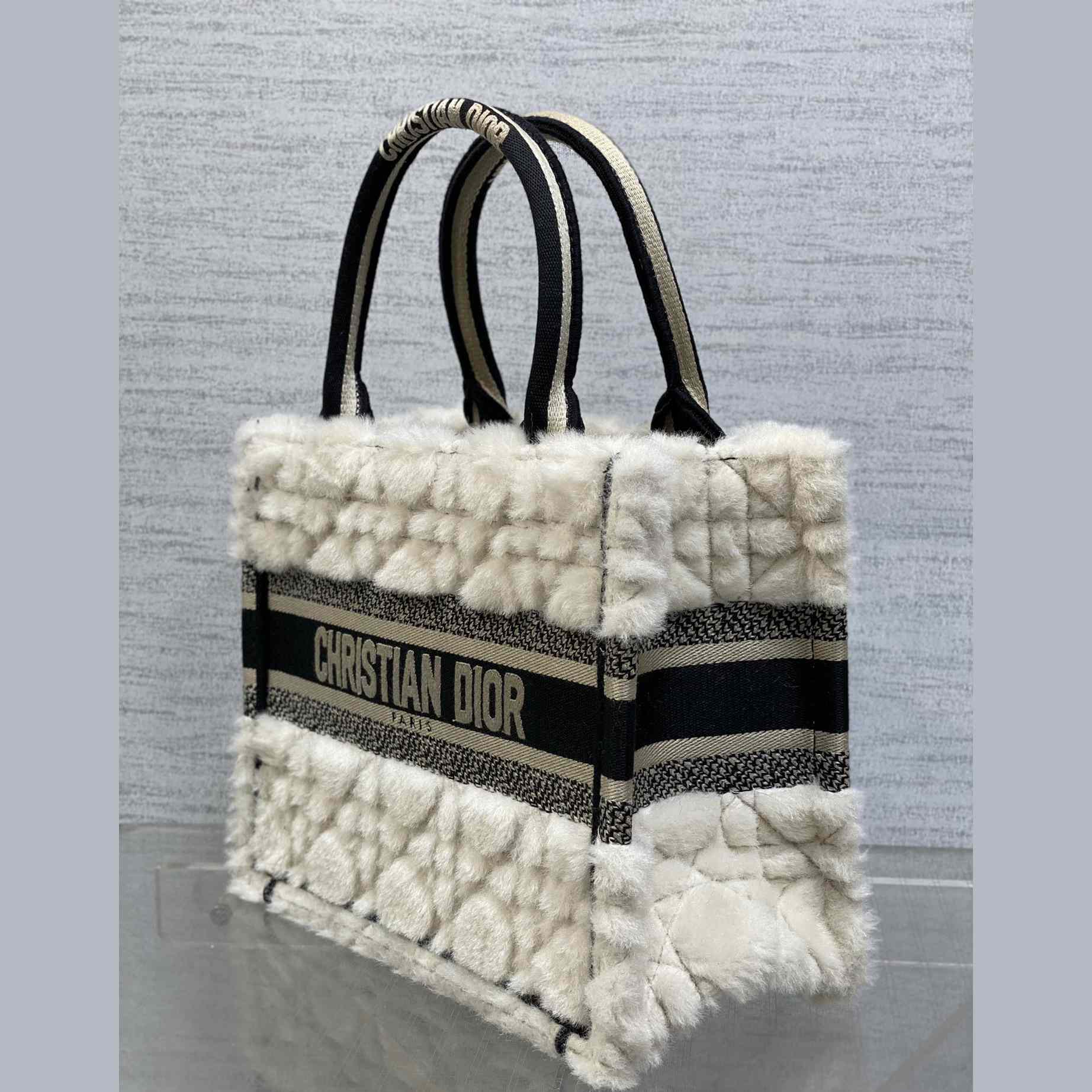 Dior Small Dior Book Tote - DopestKickz