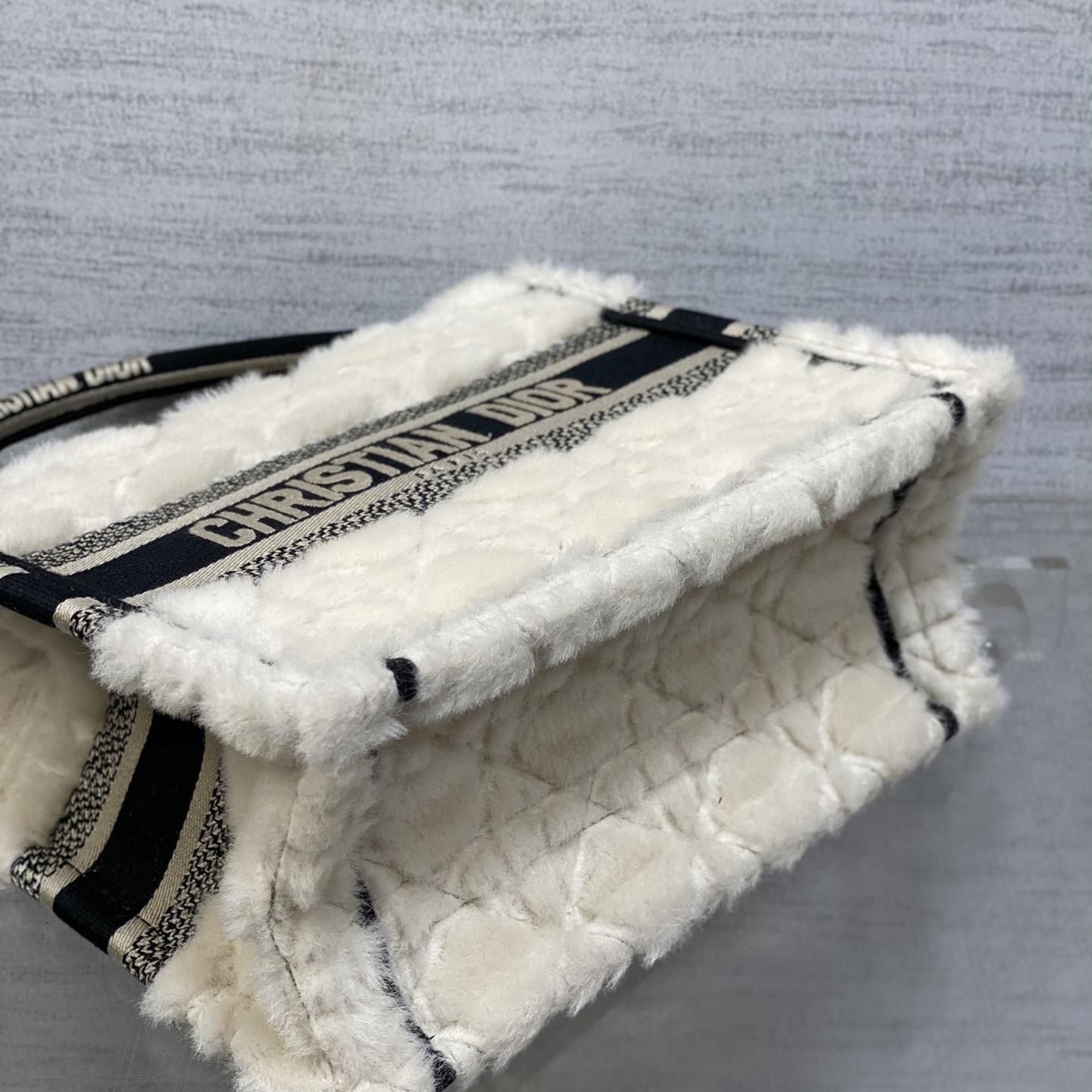 Dior Small Dior Book Tote - DopestKickz