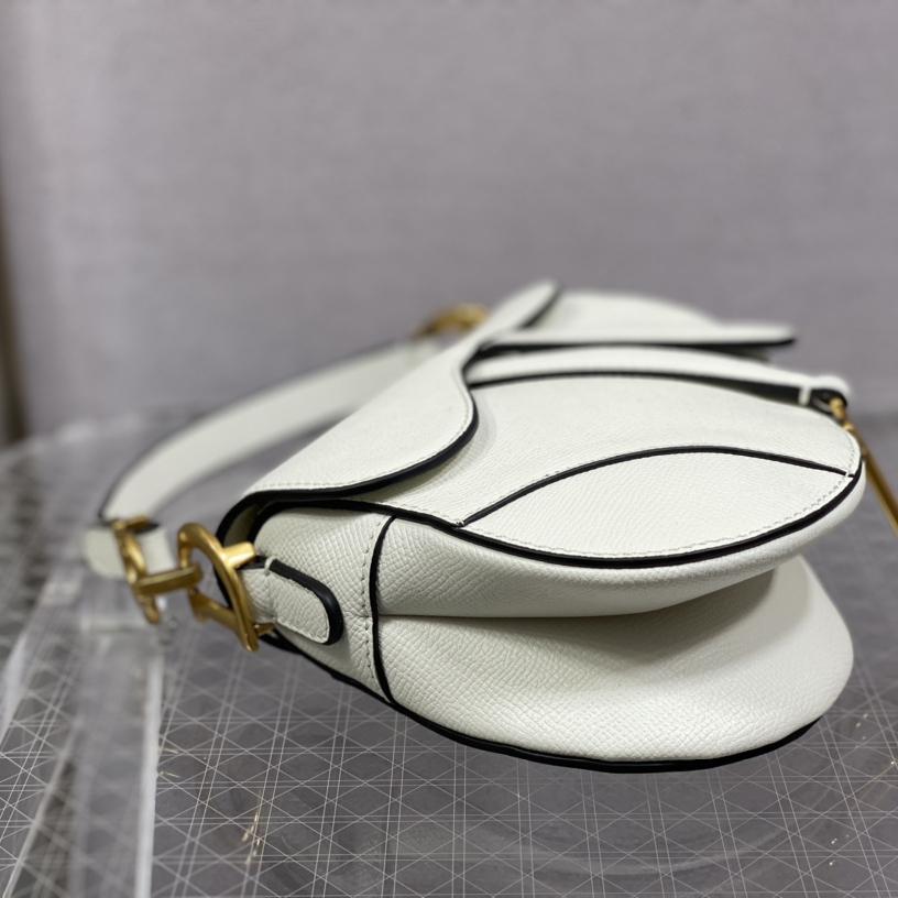 Dior Saddle Bag    19.5cm - DopestKickz