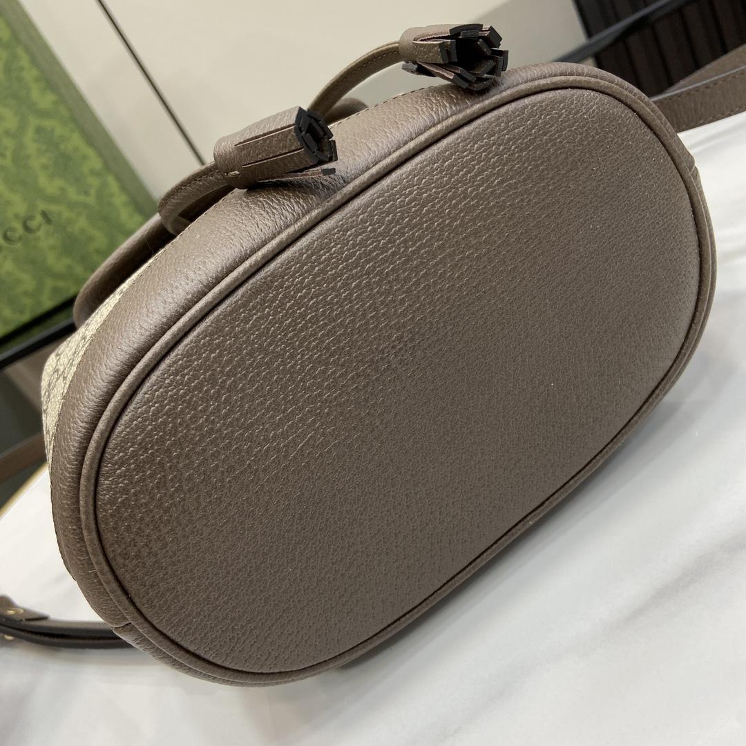 Gucci Ophidia Mini Backpack - DopestKickz