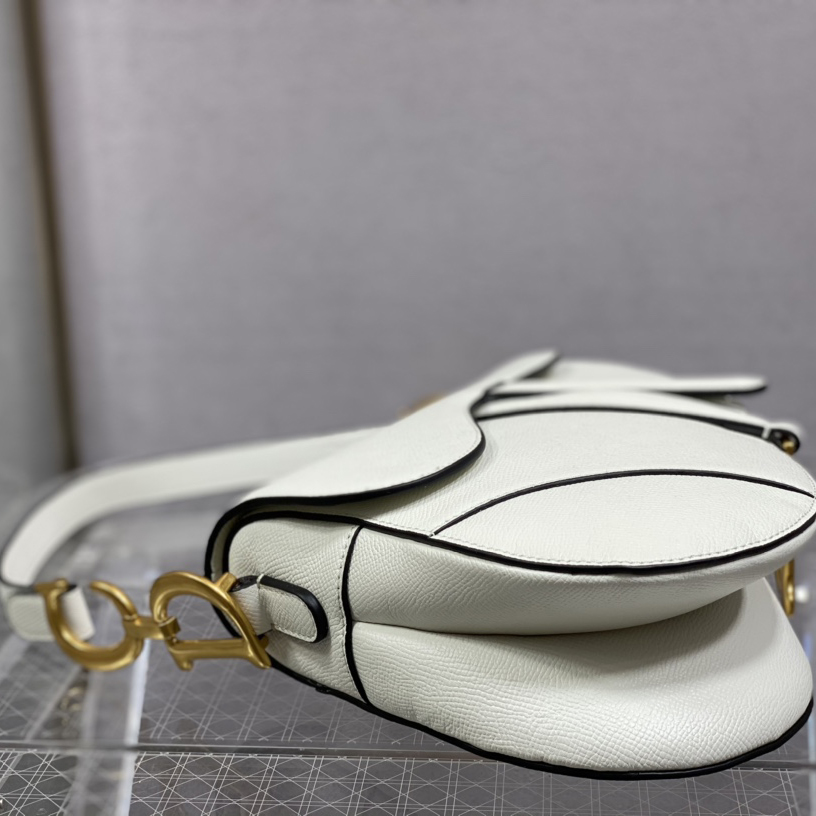 Dior Saddle Bag    25.5cm - DopestKickz