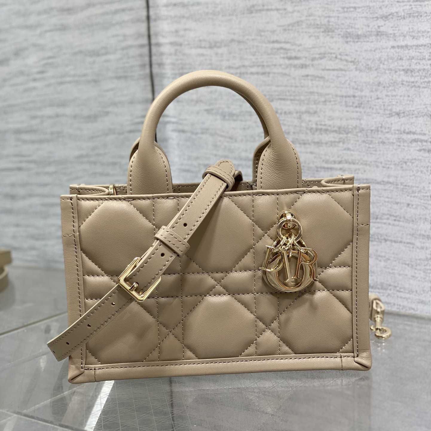 Dior Mini Dior Book Tote - DopestKickz