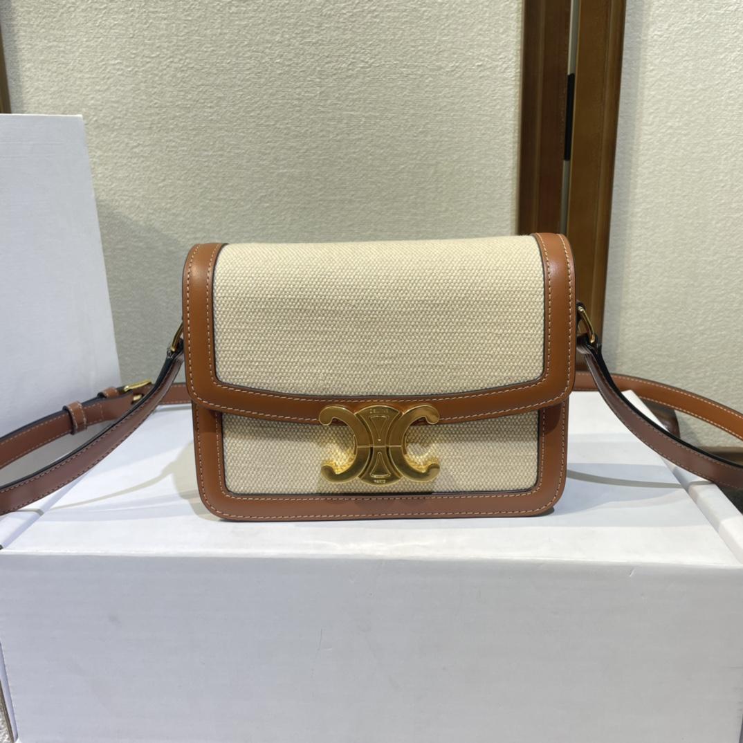 Celine Teen Triomphe Bag In Textile And Calfskin - DopestKickz