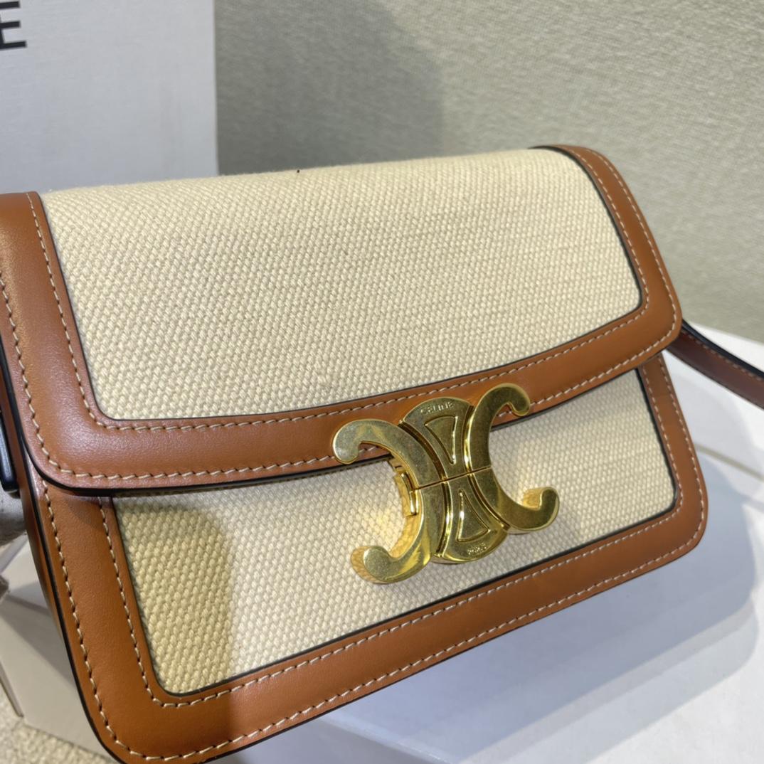 Celine Teen Triomphe Bag In Textile And Calfskin - DopestKickz