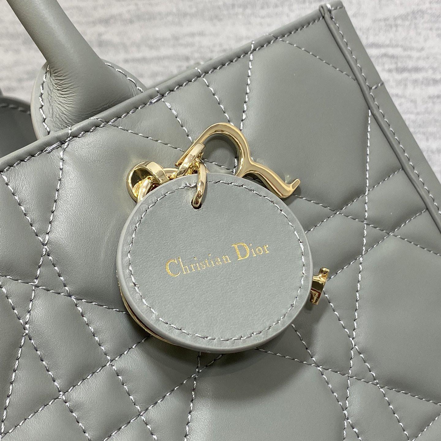 Dior Medium Dior Book Tote - DopestKickz