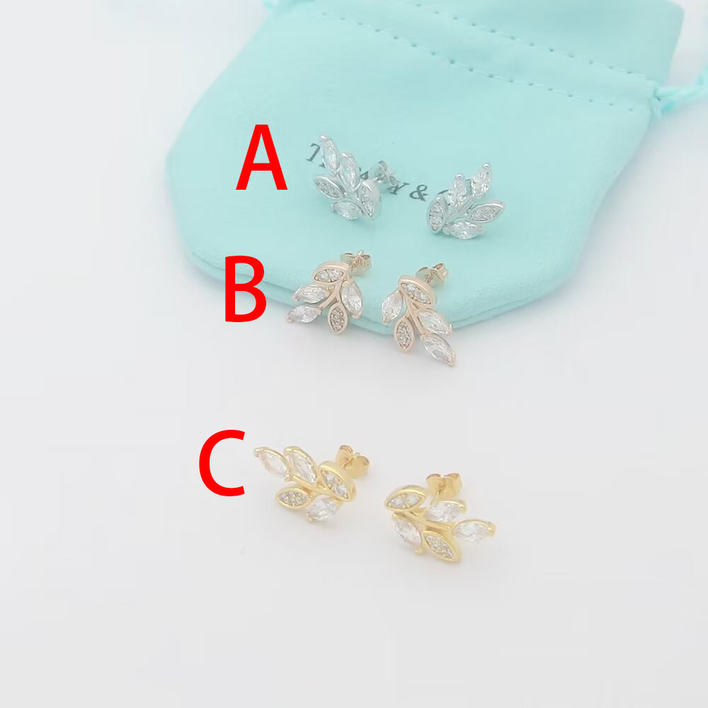 Tiffany & Co. Diamond Vine Earrings - DopestKickz
