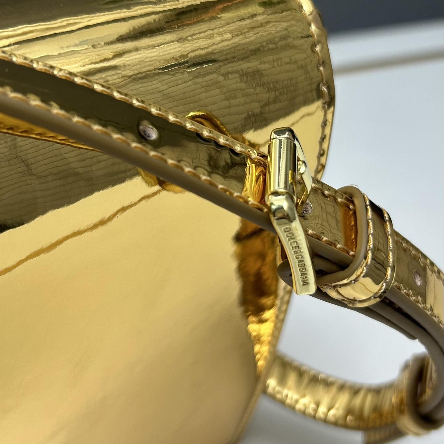 Dolce & Gabbana Metallic Logo Bag  (16*20*5.5cm) - DopestKickz