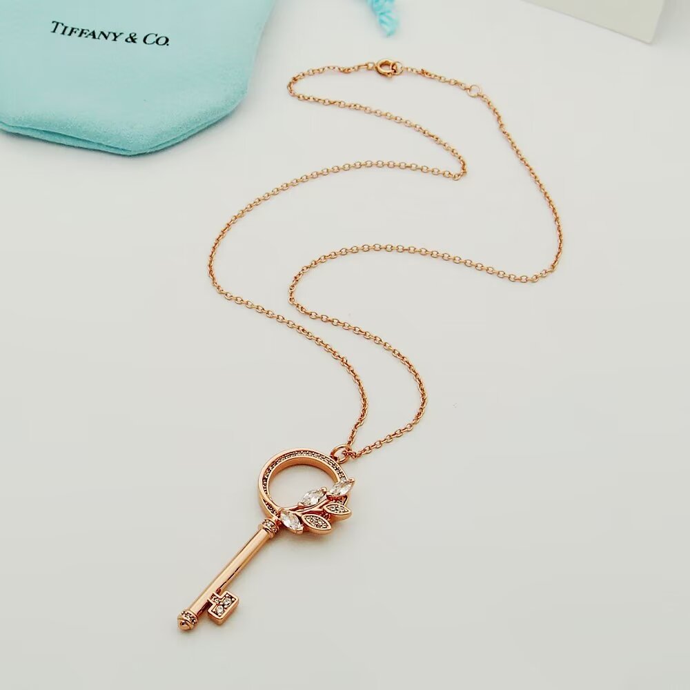 Tiffany & Co.  Diamond Vine Circle Key In Platinum - DopestKickz