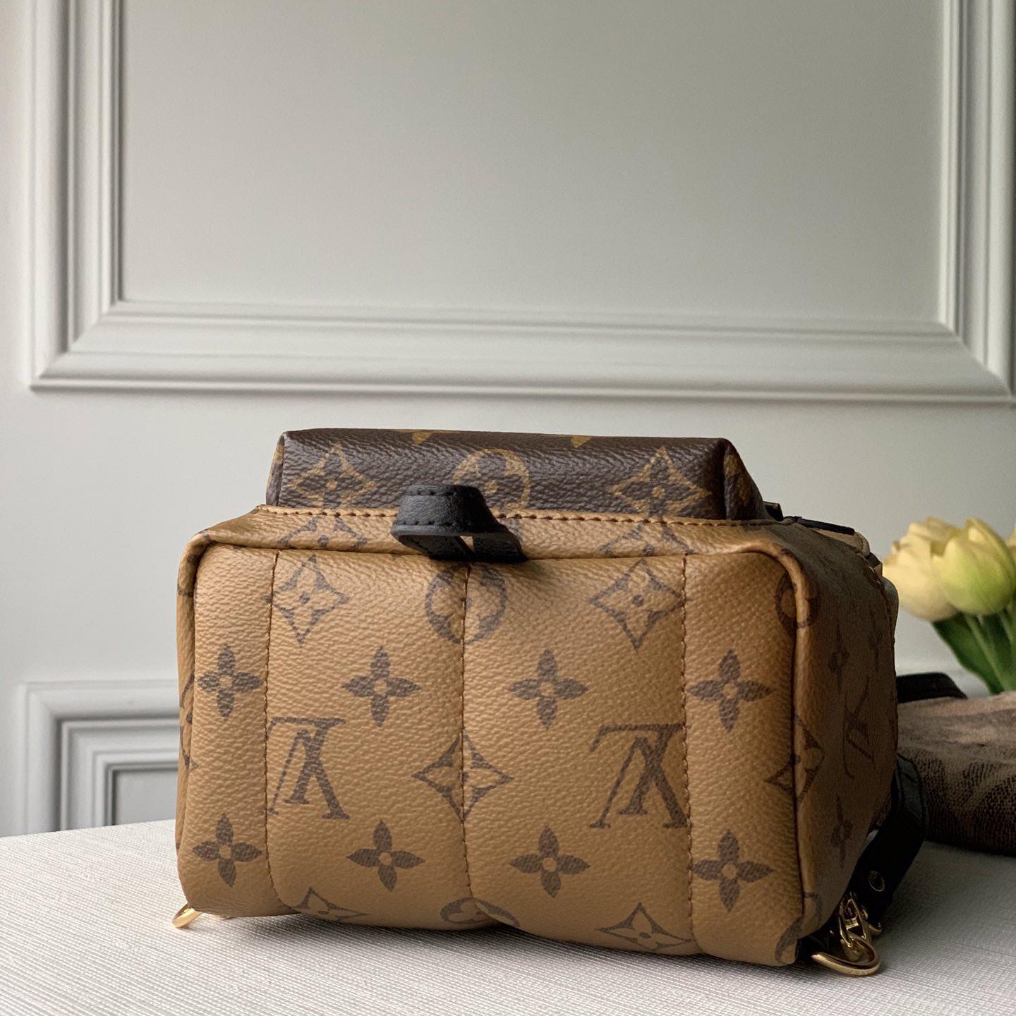 Louis Vuitton  Backpack   (17x22x10cm)  M44872 - DopestKickz