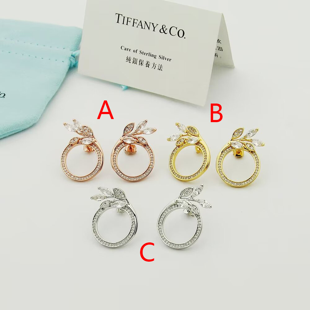 Tiffany & Co. Diamond Vine Circle Earrings In Platinum - DopestKickz
