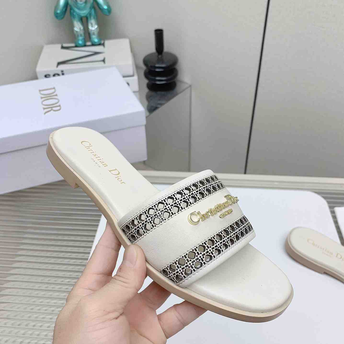Dior D-Lane Slide  - DopestKickz