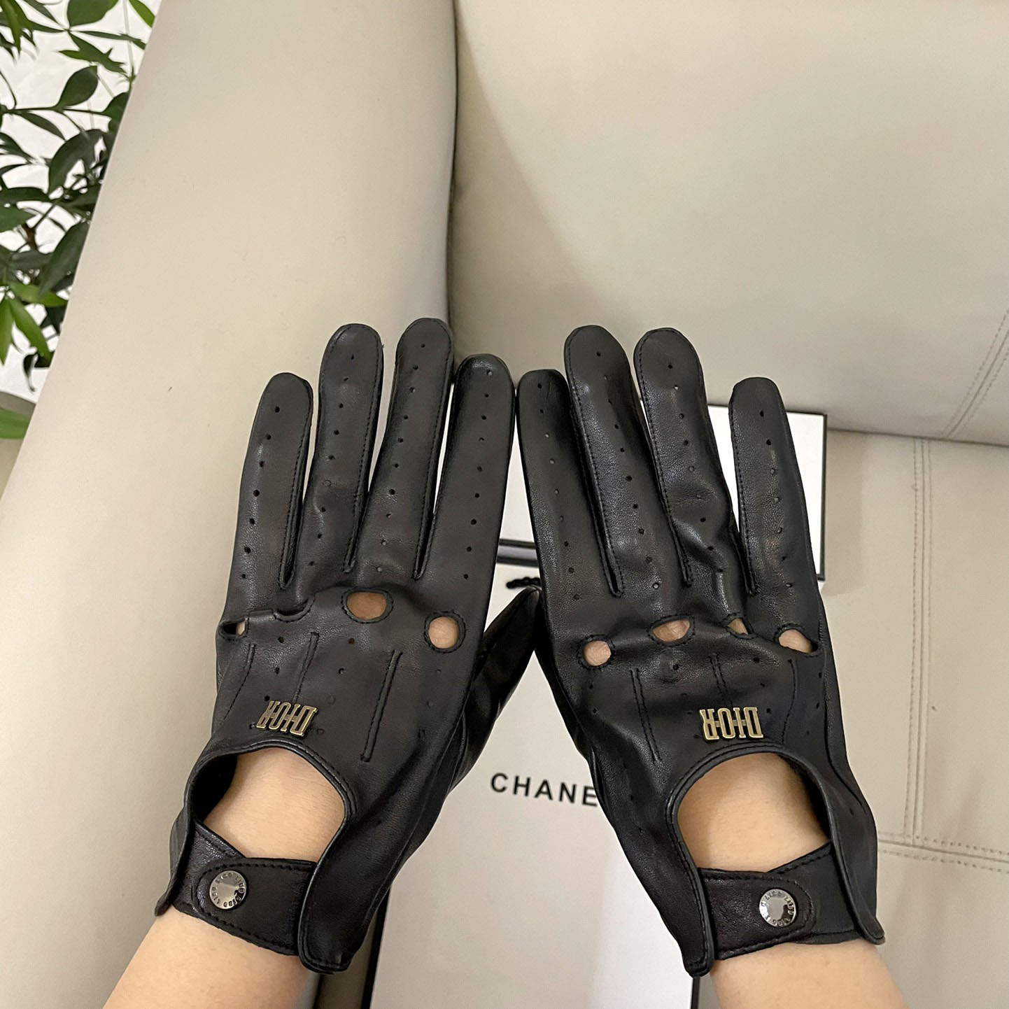 Dior Gloves  - DopestKickz