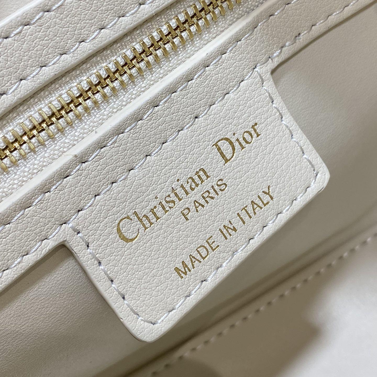 Dior Groove 20 Bag  - DopestKickz