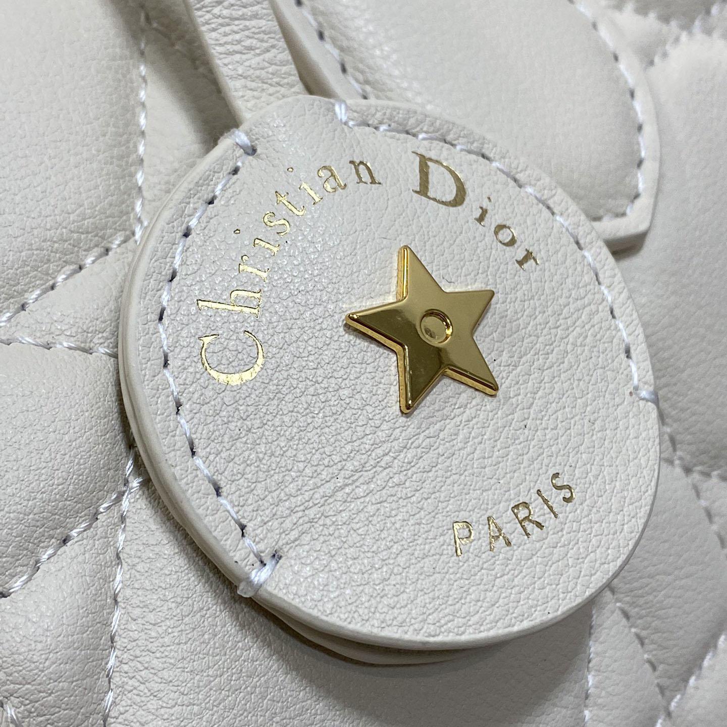 Dior Groove 20 Bag  - DopestKickz