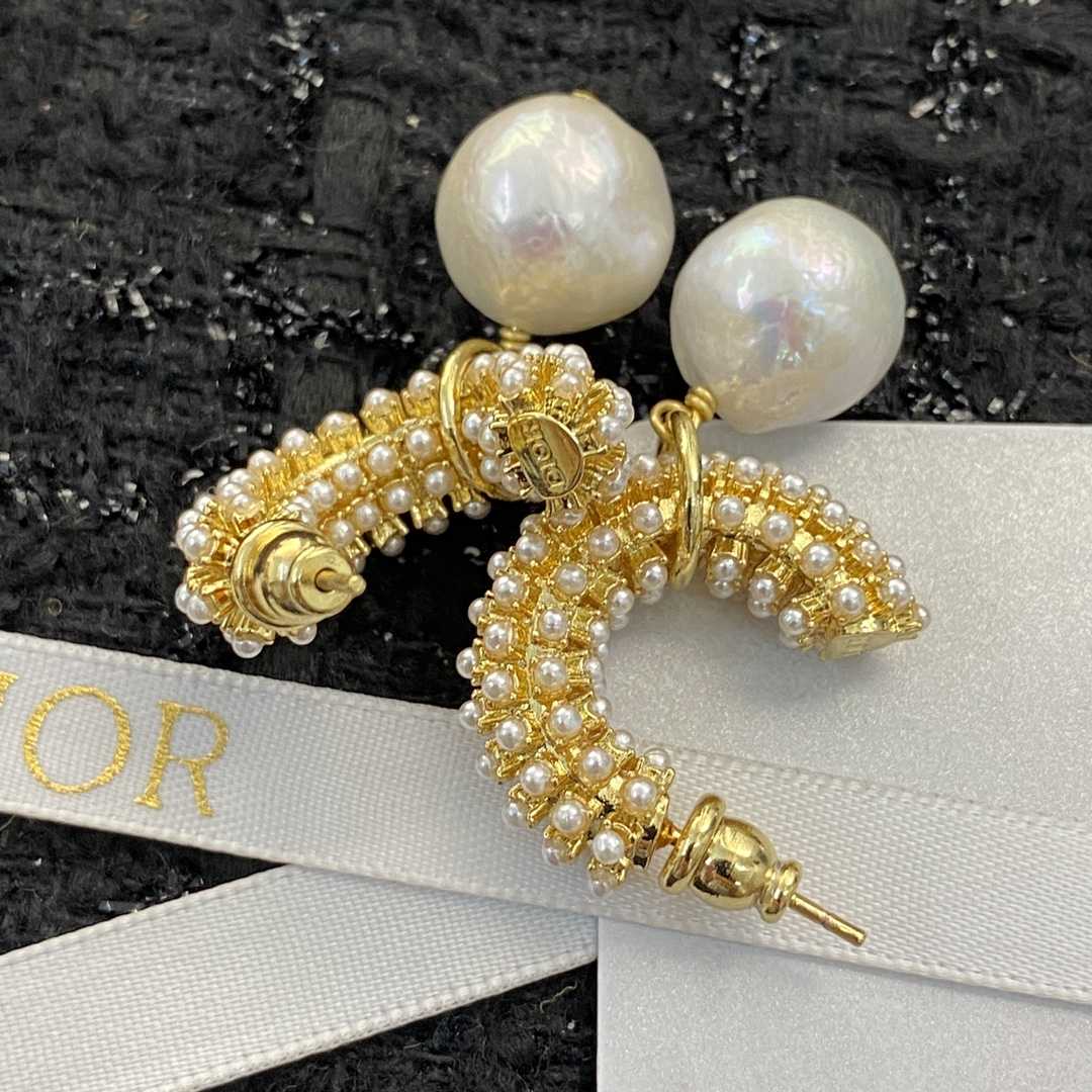 Dior Earrings - DopestKickz