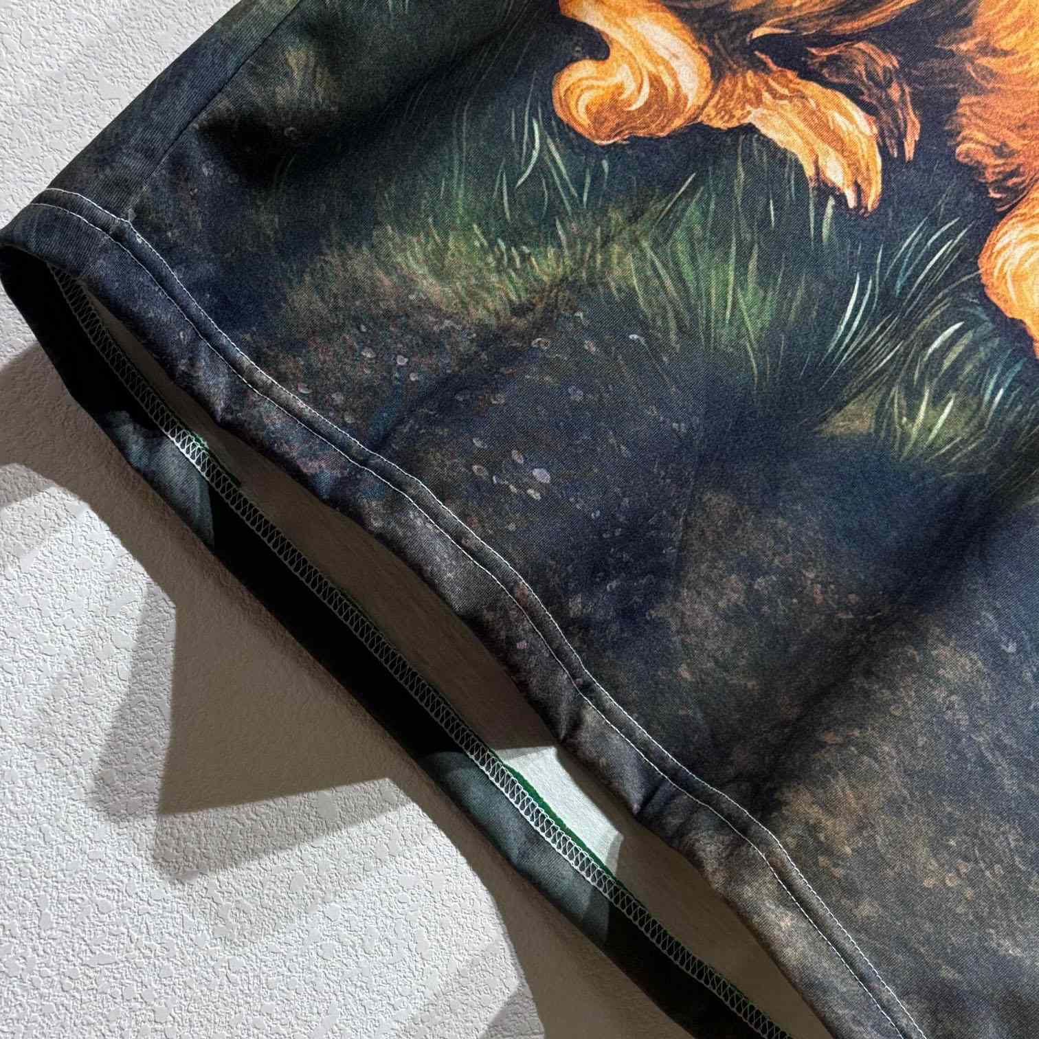 Loewe Brussels Griffon-print T-shirt - DopestKickz