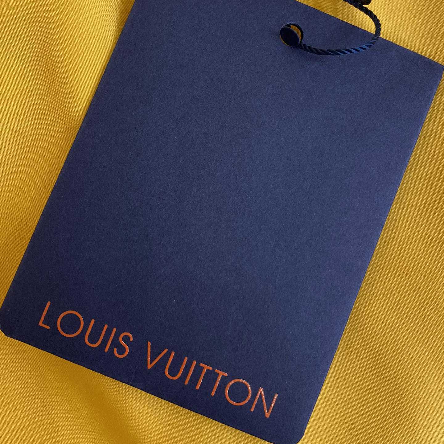 Louis Vuitton Monogram Printed Technical Track Pants   1AFWQM - DopestKickz
