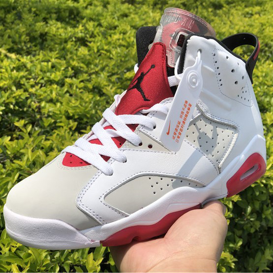 Jordan AJ6 Sneaker - DopestKickz