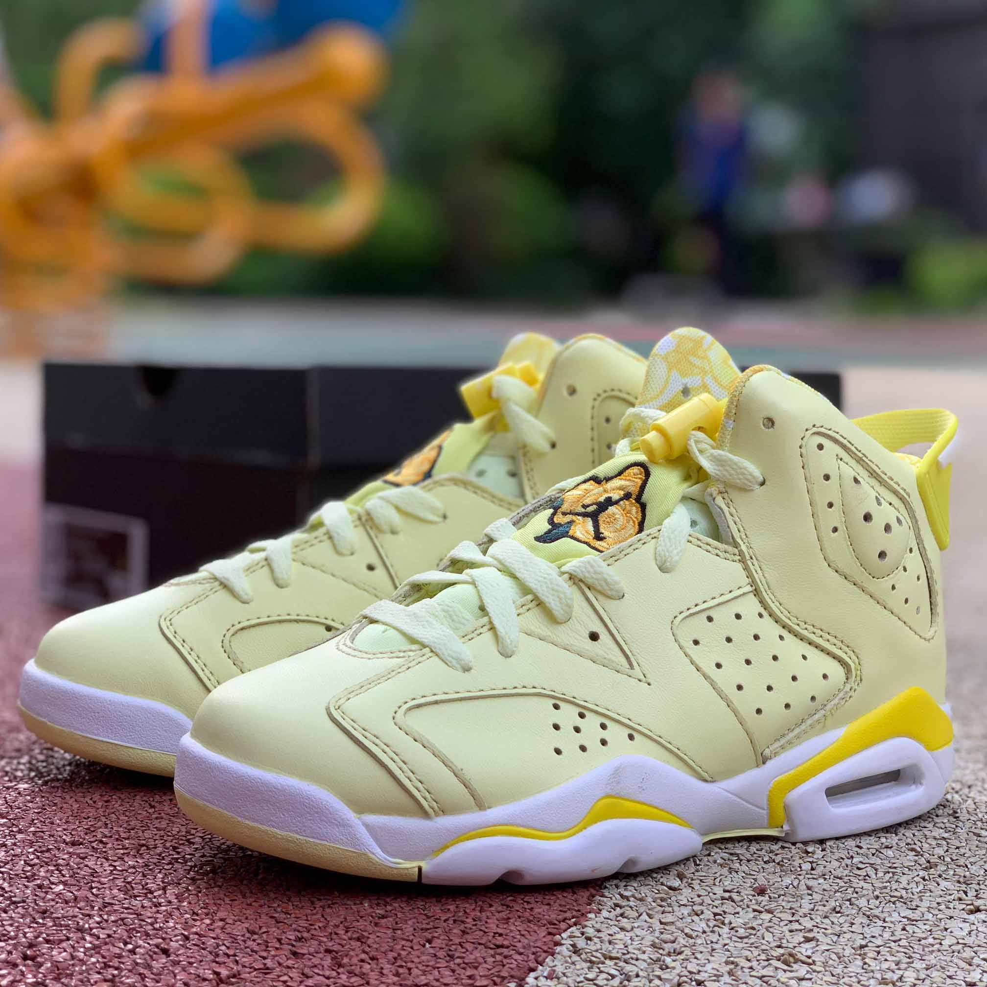 Jordan AJ6 GS "Floral" - DopestKickz