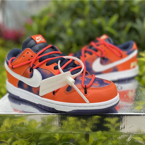 Nike SB Dunk Low Sneakers - DopestKickz